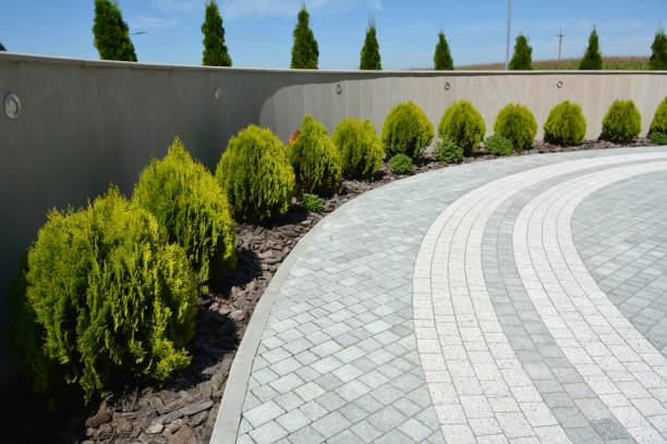 Reasons to Select Us for Your Driveway Paving Requirements in Los Luceros, NM